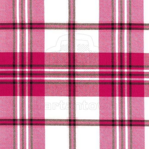 Dress Raspberry Scott